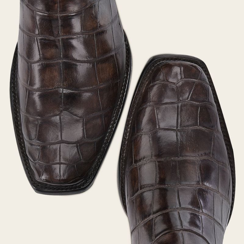 Cuadra Imperio Alligator Edición Especial 2024 Chocolate - Image 11