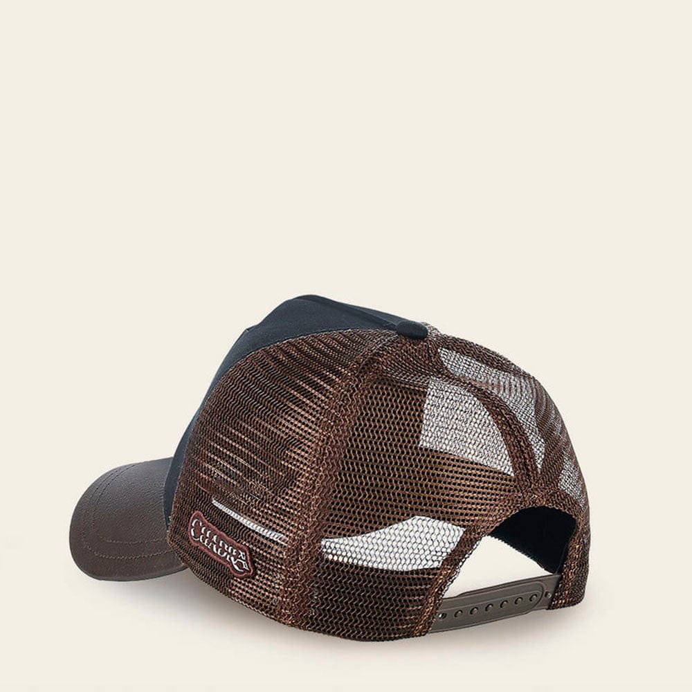 Gorra Cuadra Cocodrilo Metalico - Image 4