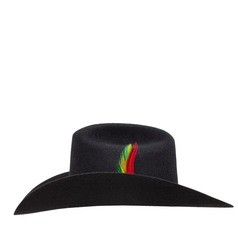 Texana Stetson 6x 160 Aniversario Negra con Pluma - Image 3
